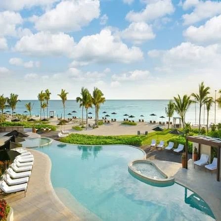 Tropical resort pool with palm trees and ocean views